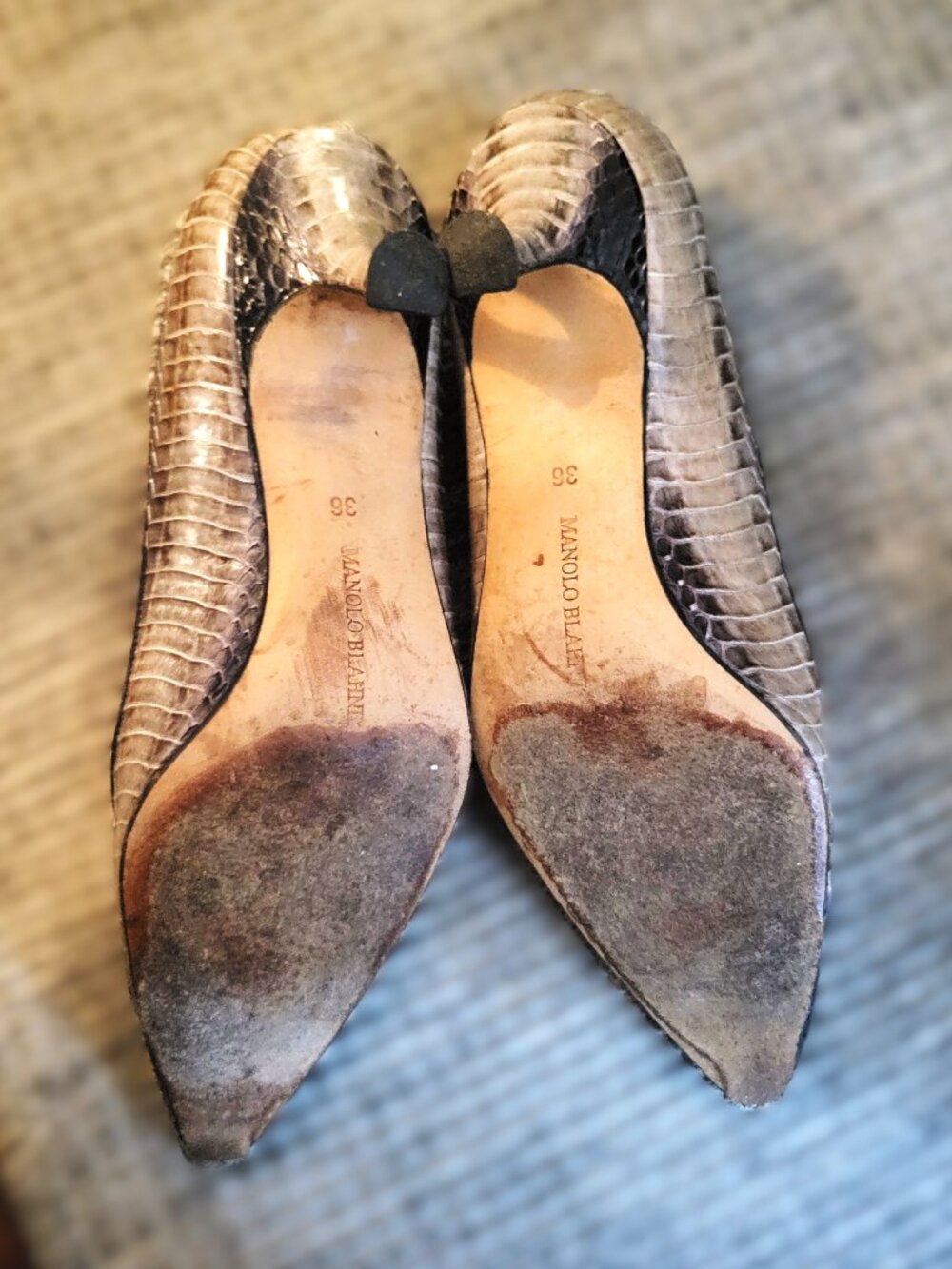 Manolo Gray/Black Snake Skin Kitten Heel - 36 - Picture 6 of 6